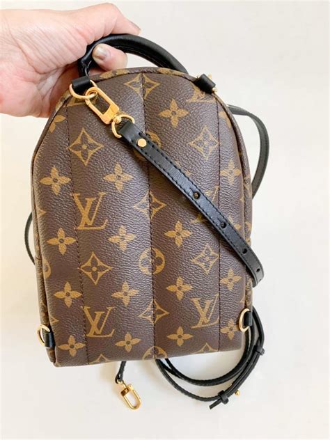 Louis Vuitton palm springs handbags